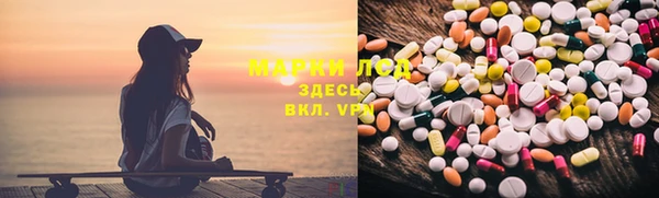 прущие грибы Алексеевка