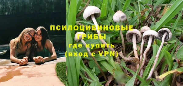 трава Алексин