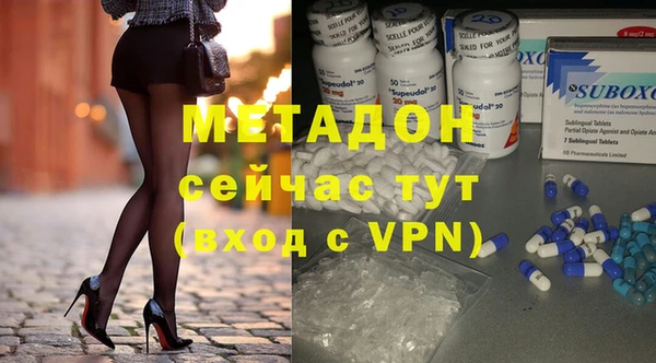прущие грибы Алексеевка
