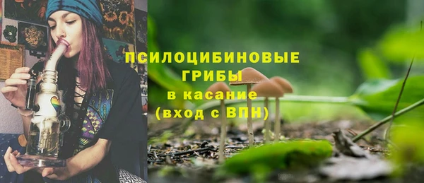 прущие грибы Алексеевка