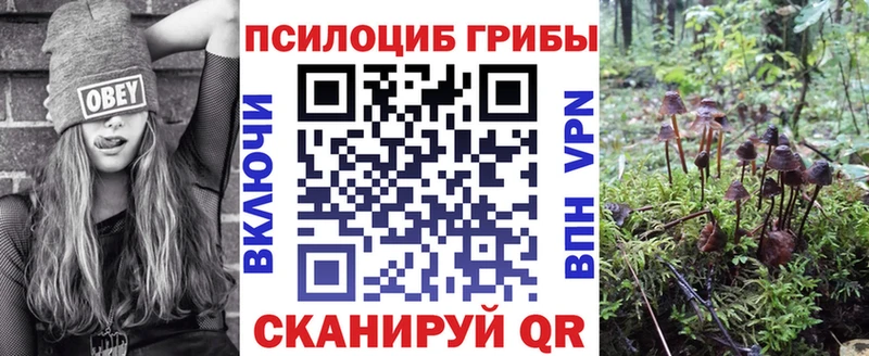 гидра зеркало  цены   Сим  Псилоцибиновые грибы GOLDEN TEACHER 
