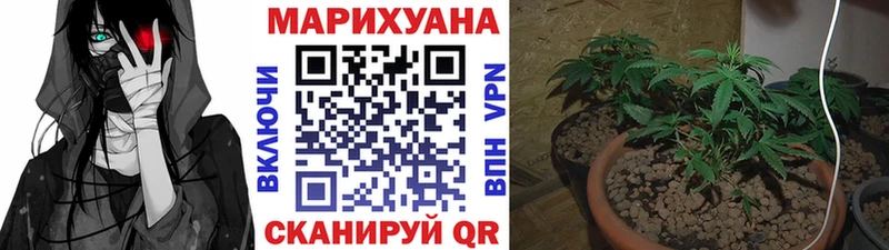 Конопля VHQ  hydra   Сим 
